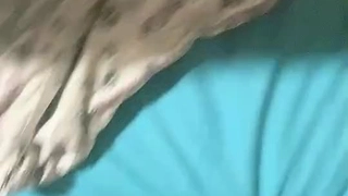 李固产卵初体验差点取不出来！