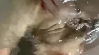 合集 肥臀色情女星被插入